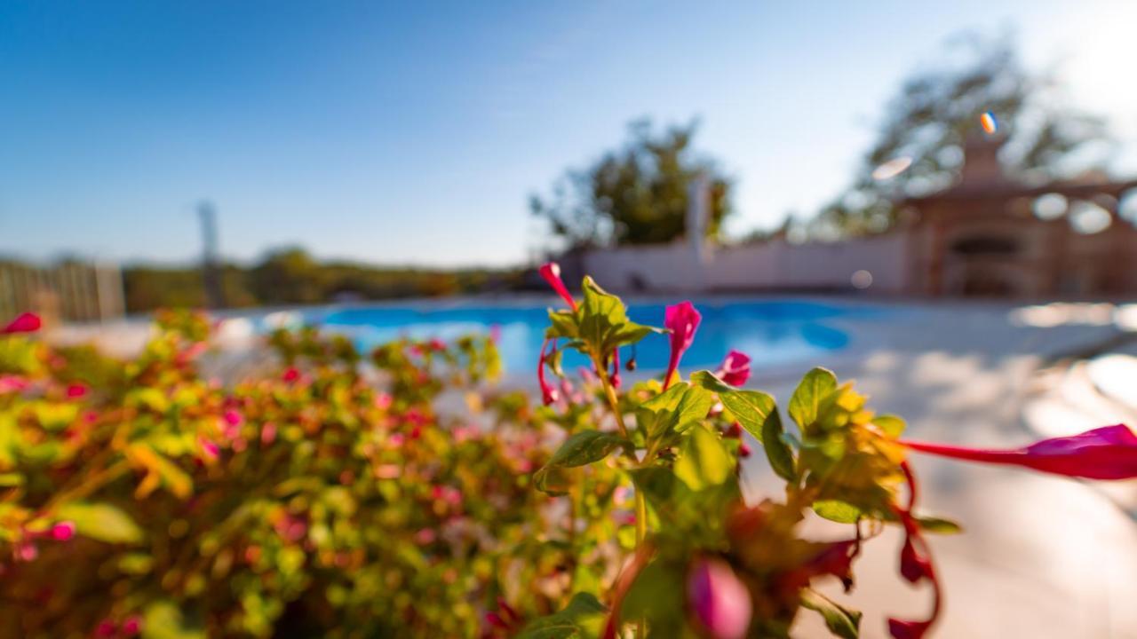 Villa Arton Heated Swimming-Pool Zminj Ngoại thất bức ảnh
